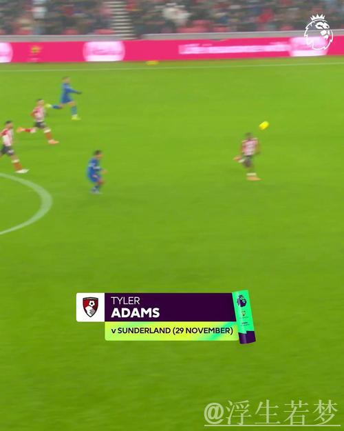 泰勒-亚当斯中场远射破门当选英超11月最佳进球 泰勒-亚当斯中场远射破门当选英超11月最佳进球